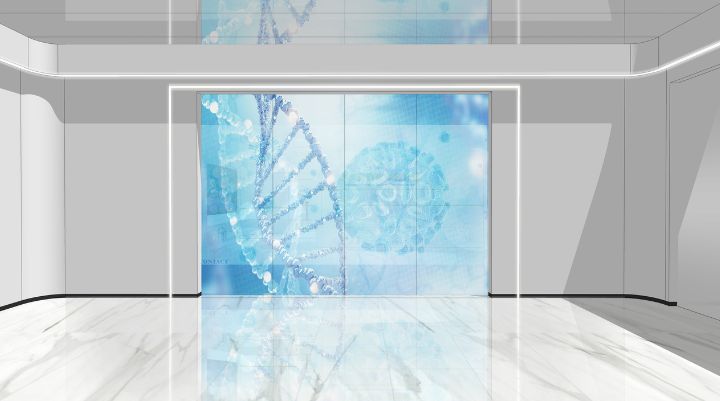神馬文化在展廳設計中的應用